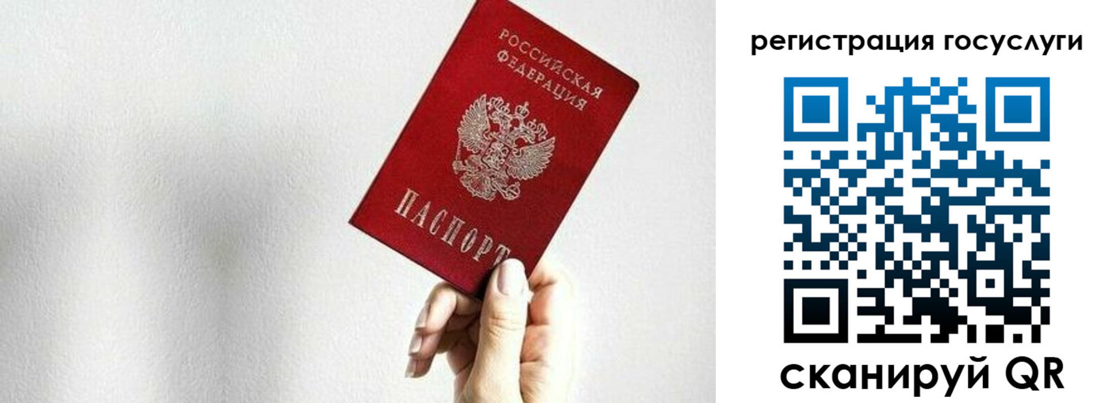 прописка гарантия в Артёме